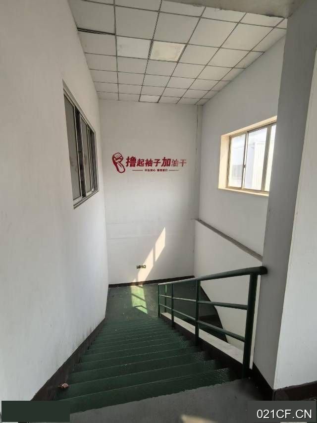台州椒江厂房出租实景图2