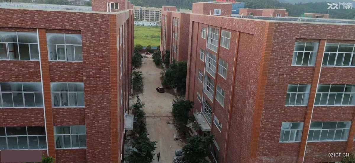 惠州惠城厂房出租实景图2