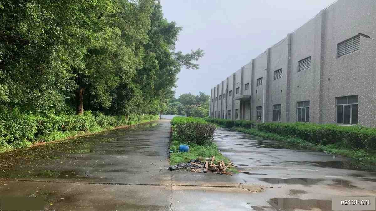 惠州博罗周边日排水900吨/天洗水环评水26000㎡独门独院交通便利可分租厂房出租