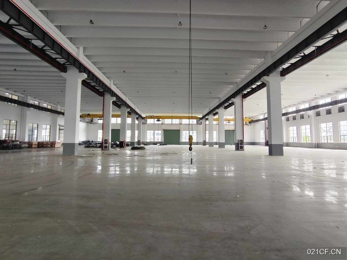 湖州德清厂房出租实景图2