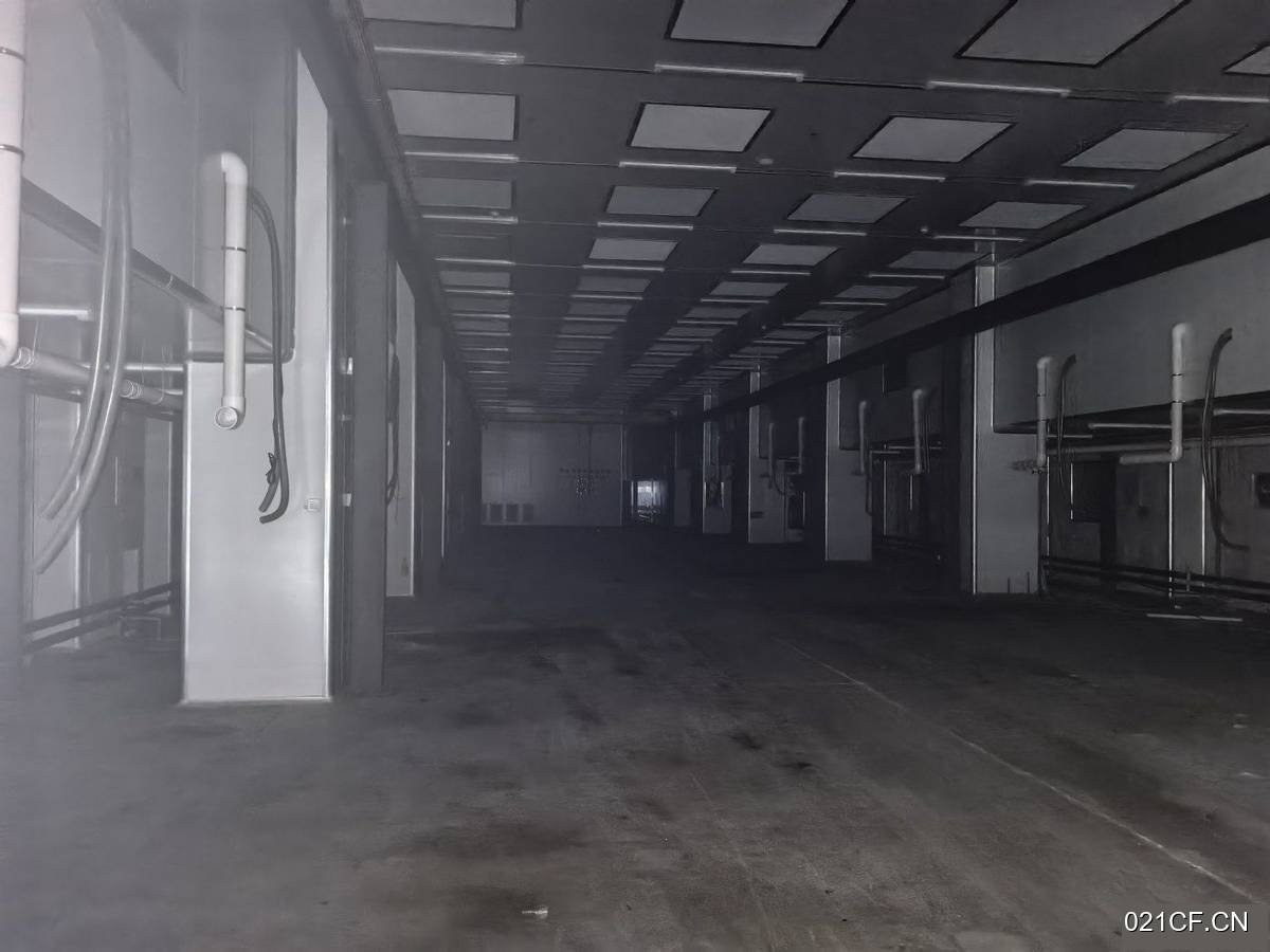 芜湖鸠江芜湖市鸠江区凤鸣湖北路经开区北区四层框架结构千级无16888㎡标准厂房多层大车进出厂房出租