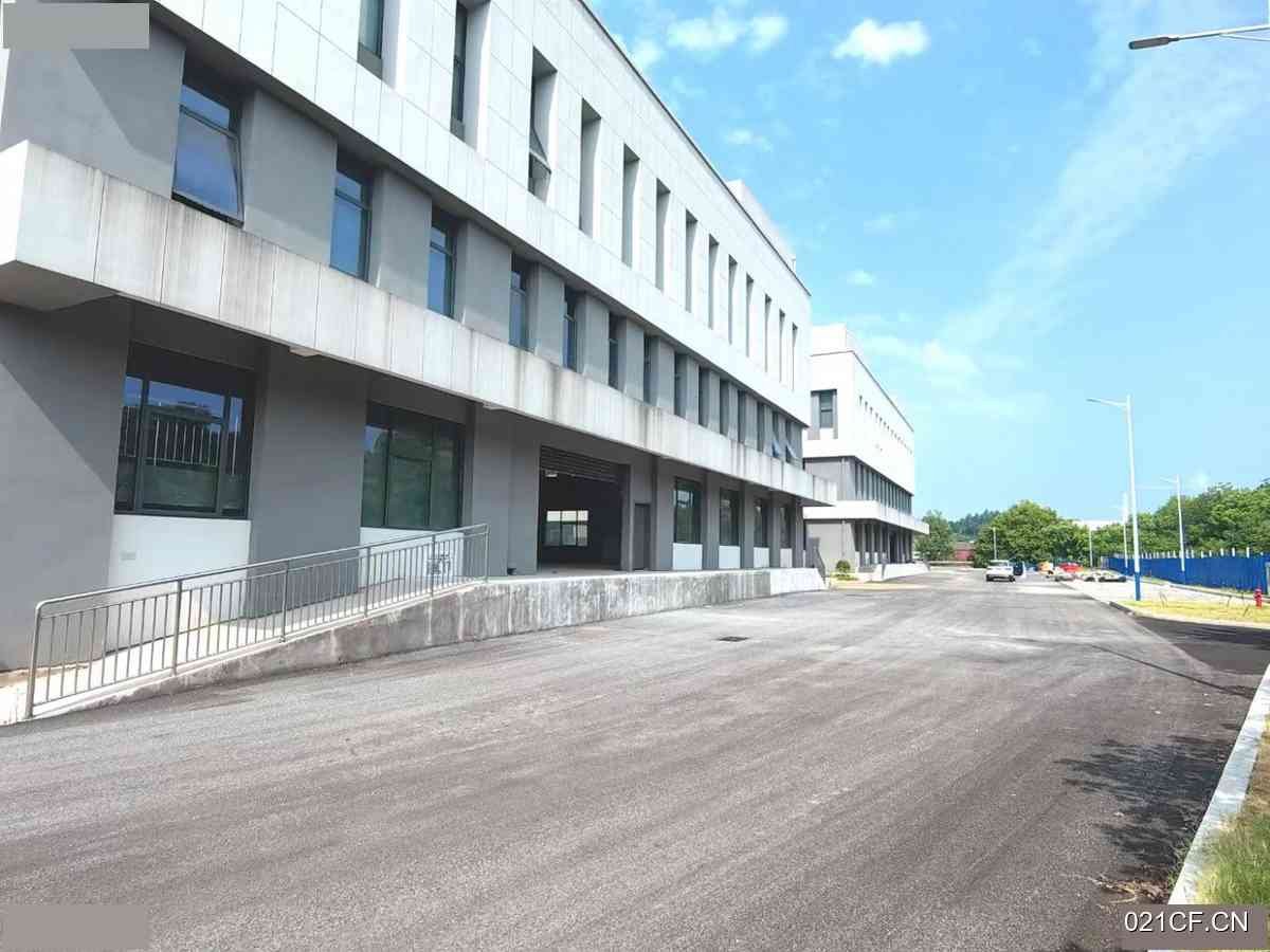 株洲石峰厂房出租实景图2
