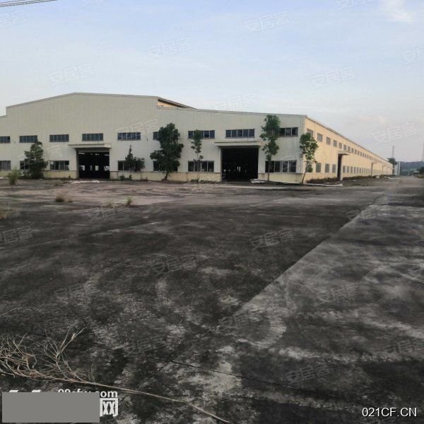 江门台山厂房出租实景图2