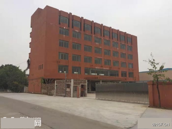 江门台山仓库出租实景外观