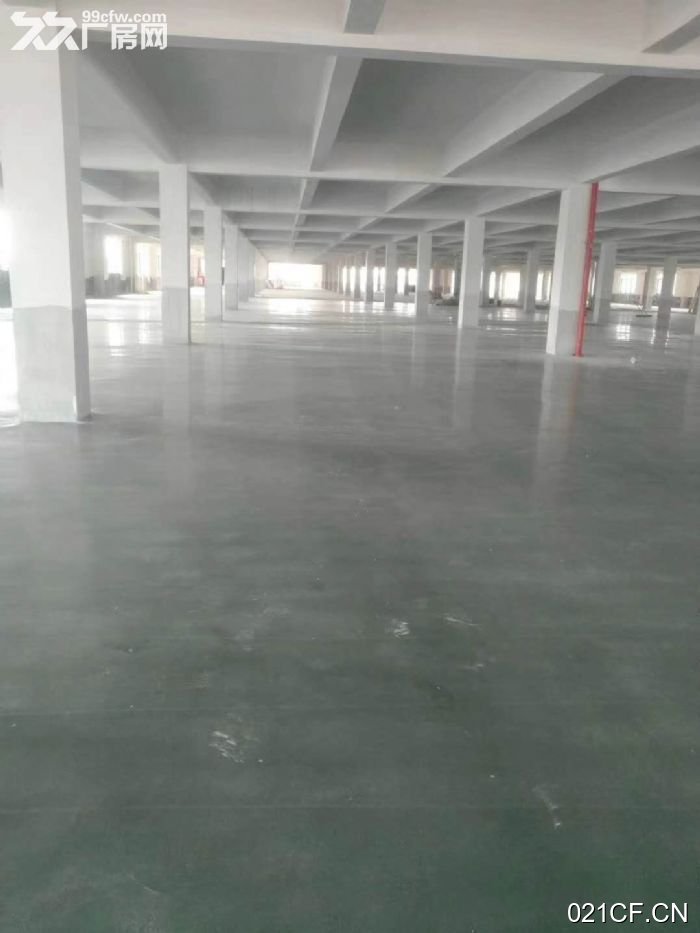 江门蓬江厂房出租实景图2