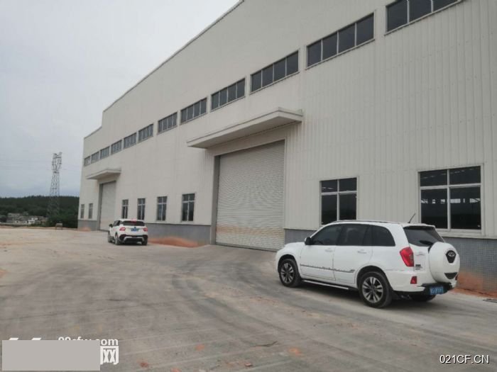 江门新会厂房出租实景外观