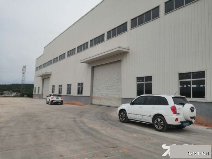 江门新会厂房出租实景图2