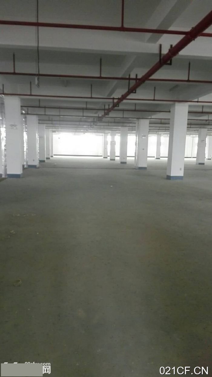 北海铁山港厂房出租实景图2