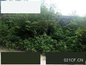 北海合浦石油公司附近石油公司附近带大车进出交通便利面积面议厂房出售