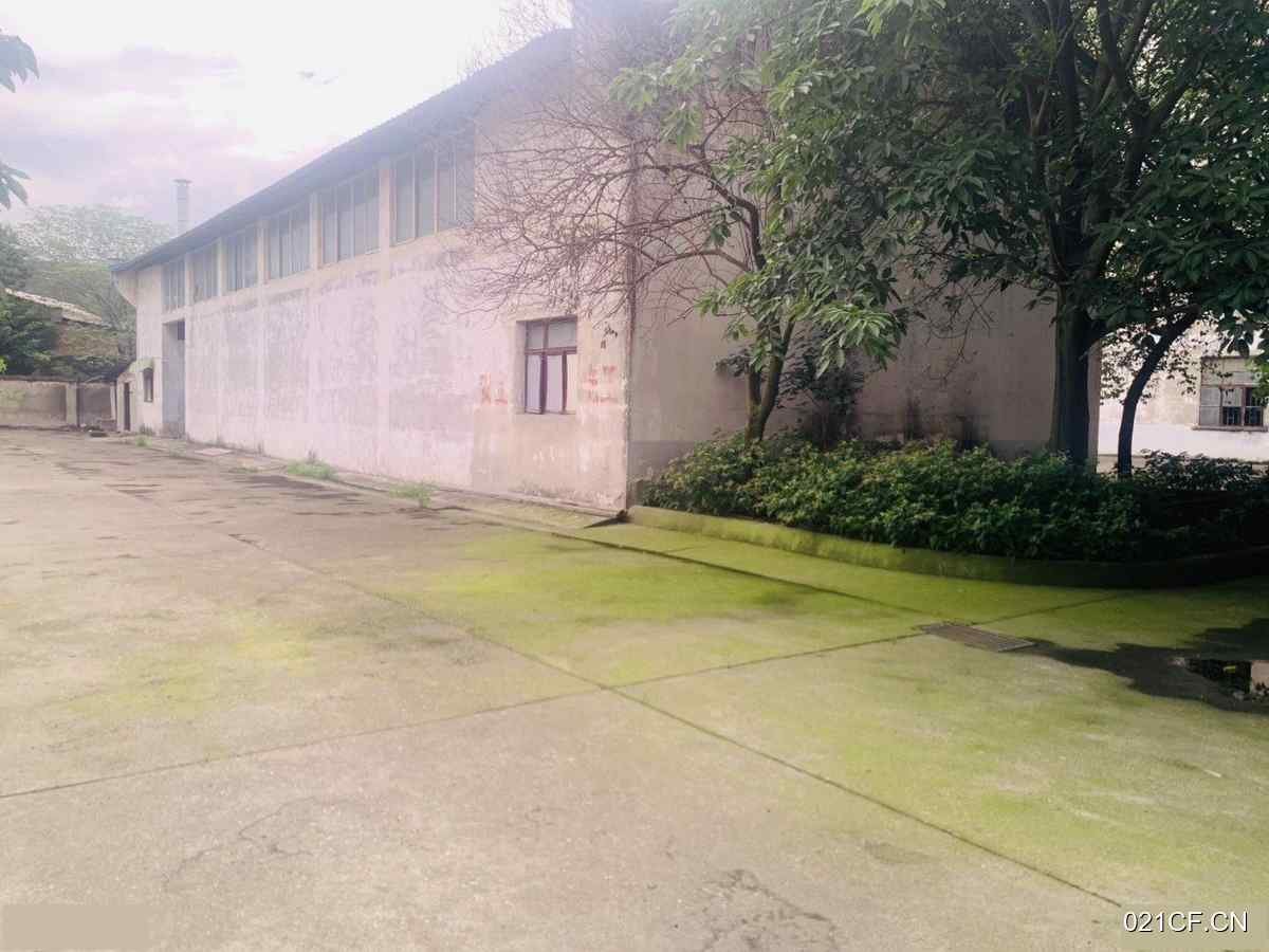 德阳广汉厂房出售实景图2