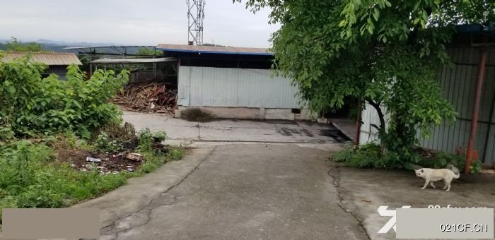 南充南部碑院镇金寺梁机制木炭厂设施完备也可他用欢90㎡独门独院单层大车进出厂房出租