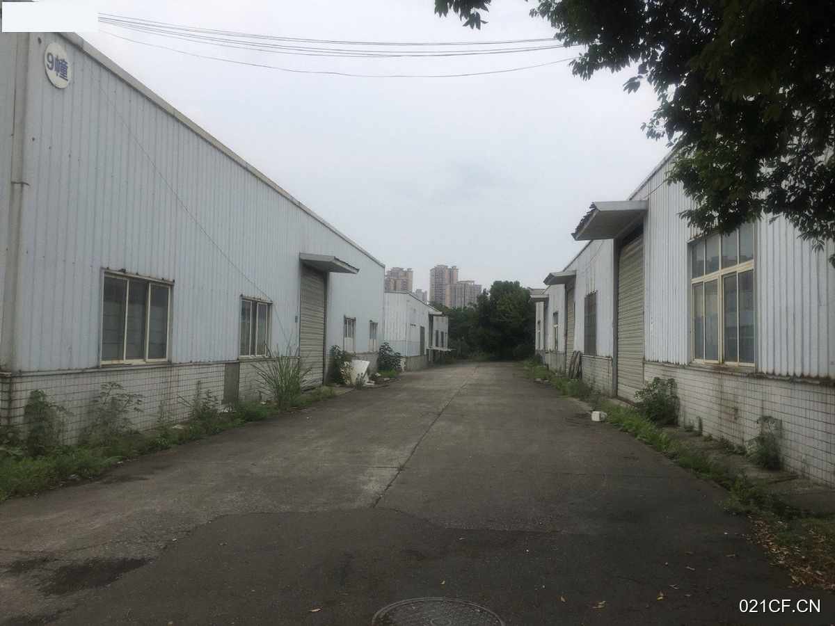 南充嘉陵厂房出租实景图2