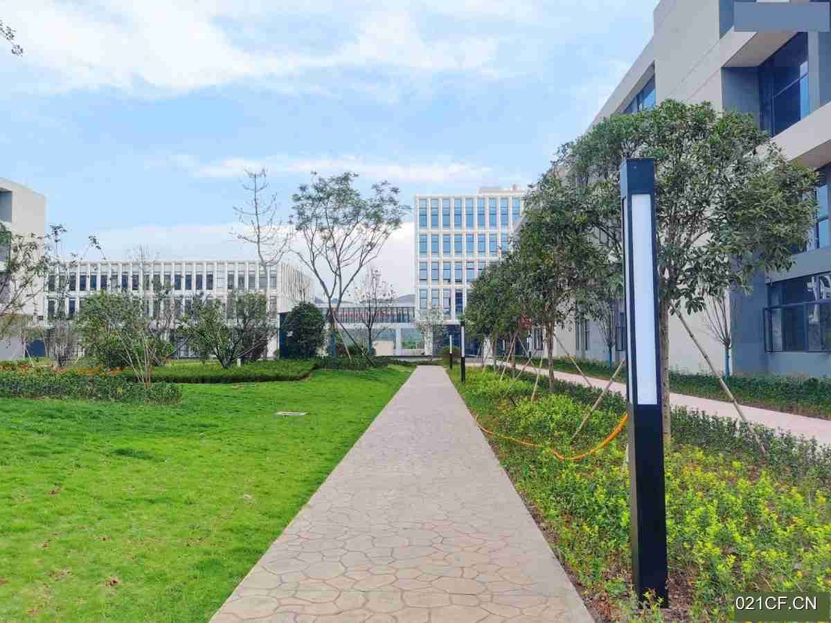 泸州泸县杜康路108号武珞科技园高品质高标准50年独立产权可200000㎡标准厂房全新厂房出售