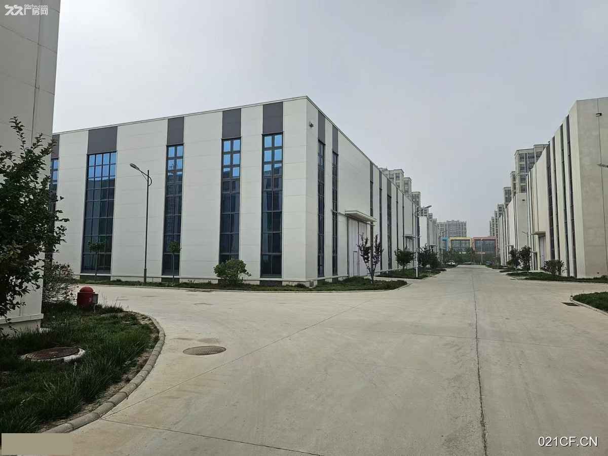 德州宁津厂房出售实景外观