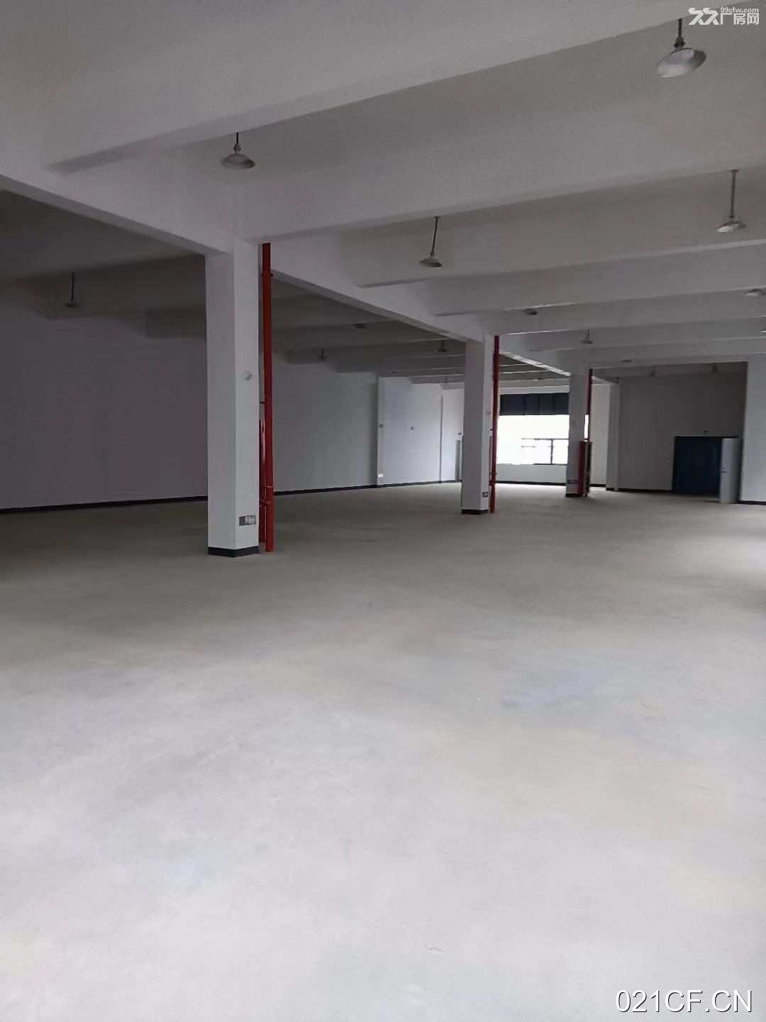 衢州龙游城南开发区全新一手现房性价比高标准厂房多层仓库出售