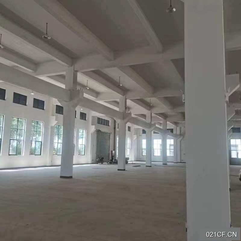 衢州龙游城南开发区全新一手现房标准厂房多层仓库出售