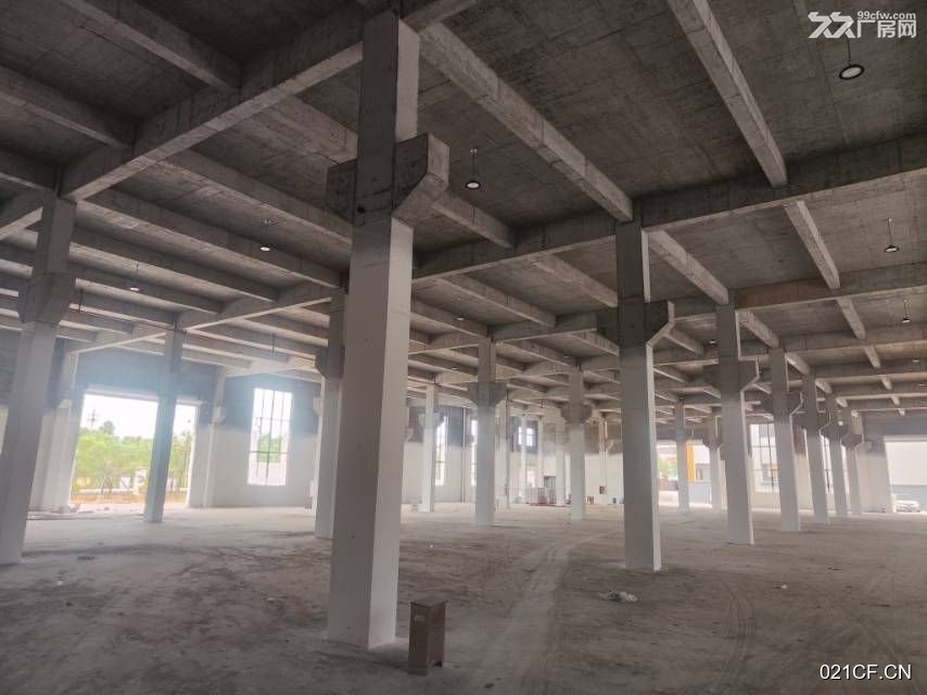 衢州衢江东港百灵南路888号智能装备小微园区单层大面积/可分租20000㎡独栋标准厂房出租