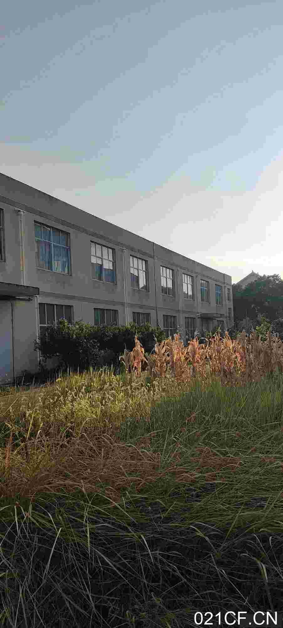 衢州龙游厂房出售实景图2