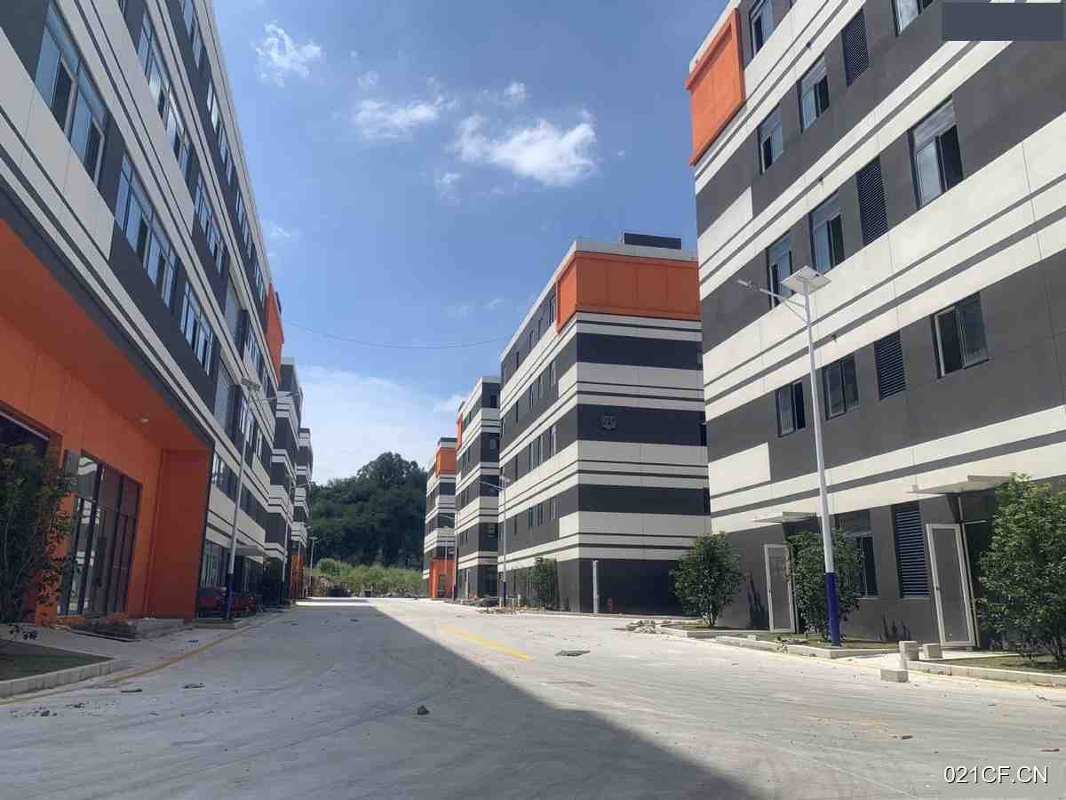 漳州长泰厂房出租实景图2
