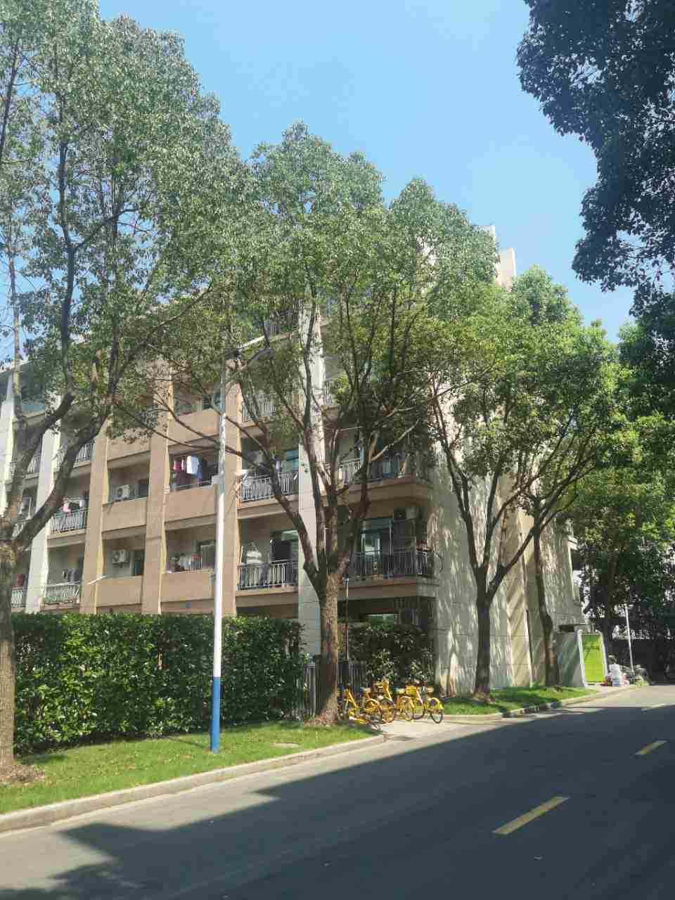 上海松江开发区园区环境