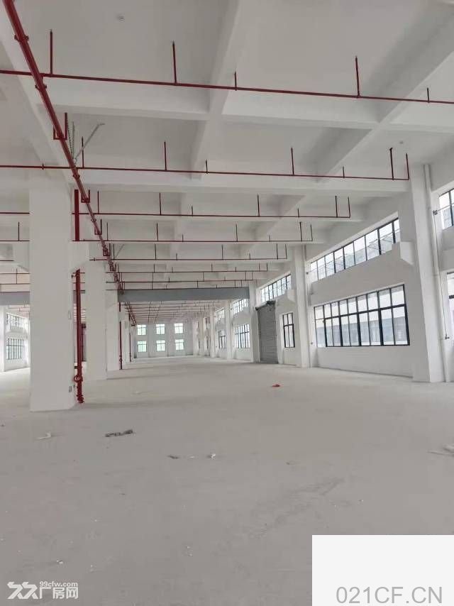 珠海市17600㎡ 金湾区全新标准花园式厂房出租，首层8米层高