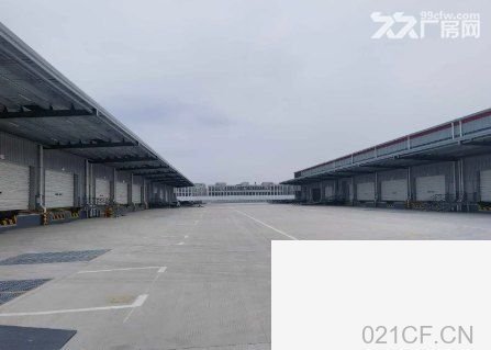 上海金山 金山枫泾高标仓库出租4000平到21万平丙二类消防月台库 仓库出租厂房出租，首层10米层高