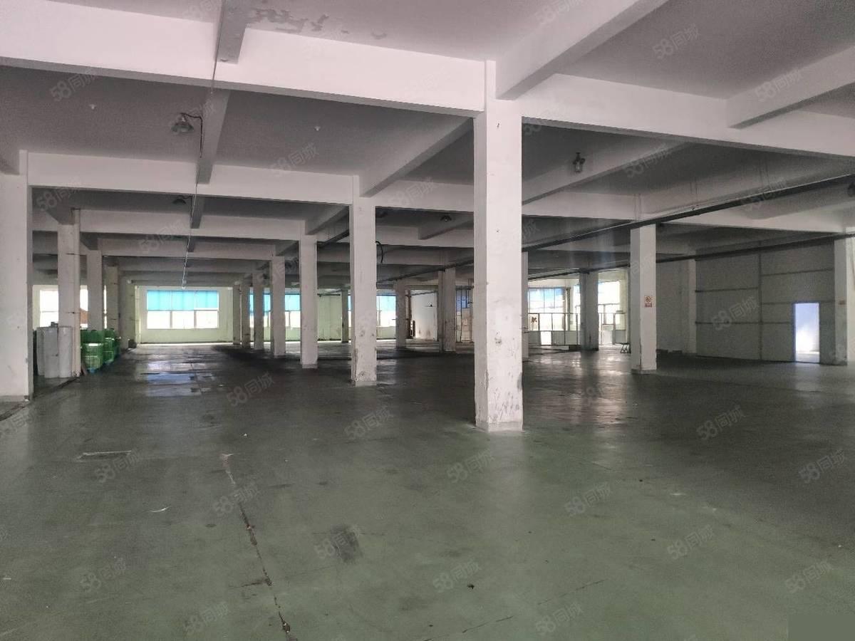 镇海宁波1澥浦工业区5000平左右独幢厂房出租，配套完善