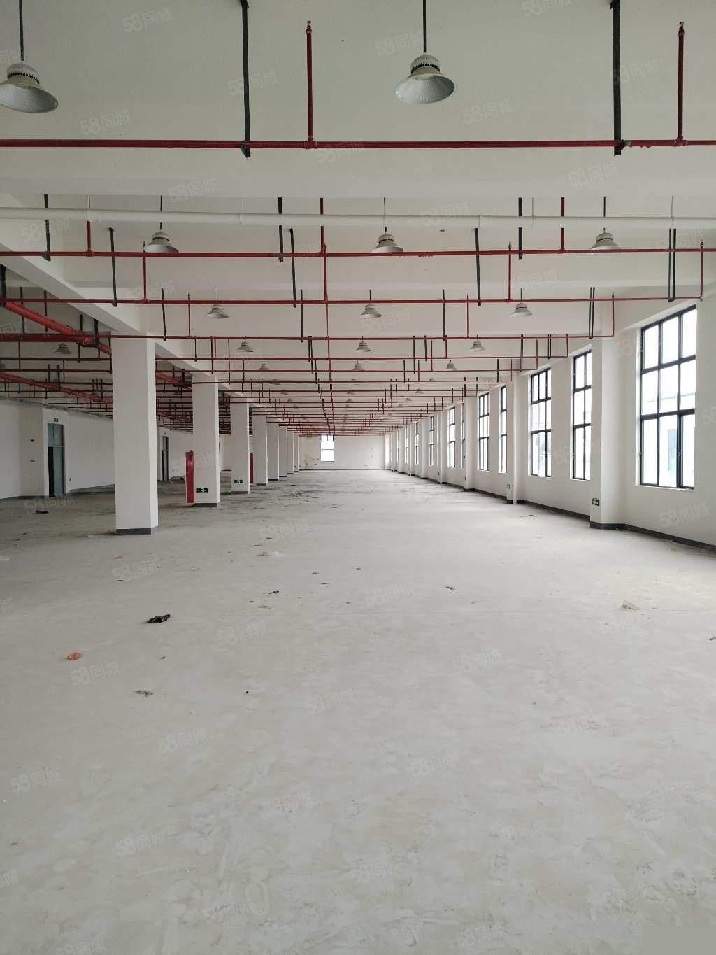 湖州港南路2000平15一平吴兴西南新城厂房出租，配套完善