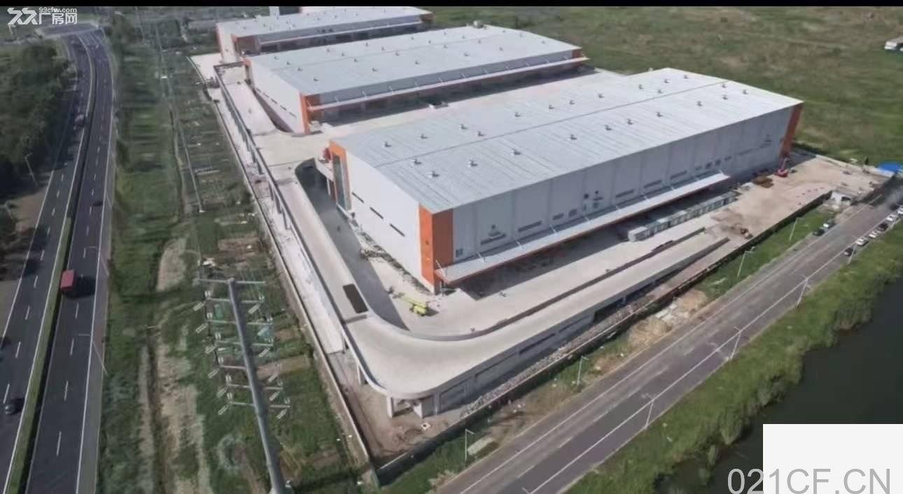 上海金山枫泾工业区 枫泾仓库出租60000平高台库双边卸货高10米适合物流仓储电商 仓库出租厂房出租