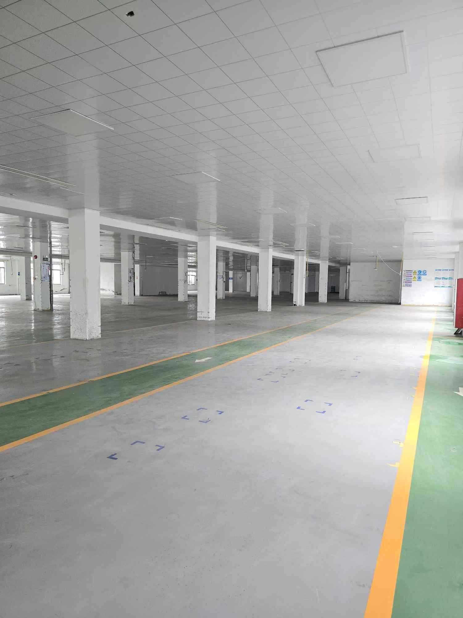 宁波庵东镇厂房实景