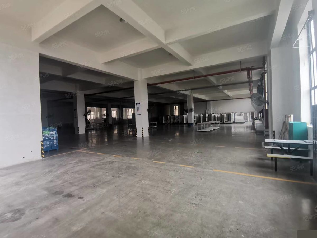 新区台州中德产业园1~3层2800平整栋路桥滨海新区厂房出租，配套完善