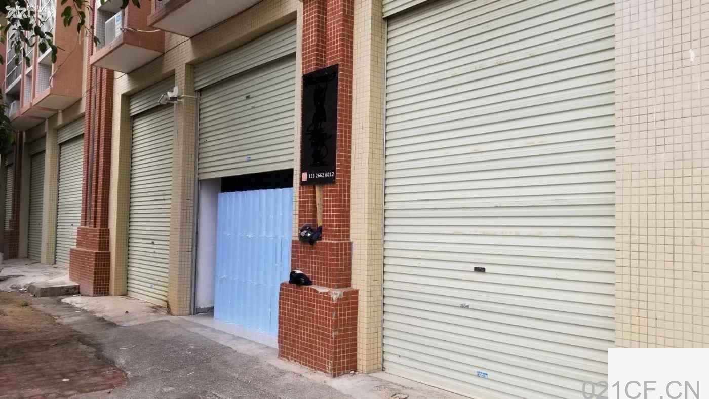 闵行七宝镇厂房实景