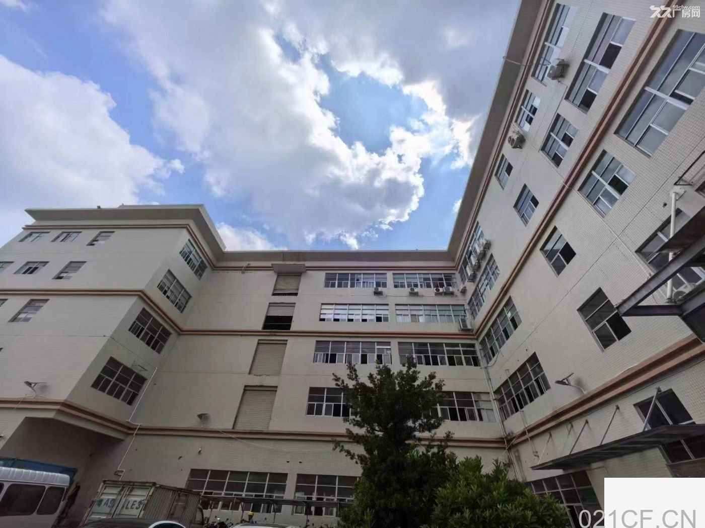 广州黄埔 M2工业厂房实量面积出租18元一平方-广州黄埔厂房出租，首层5米层高