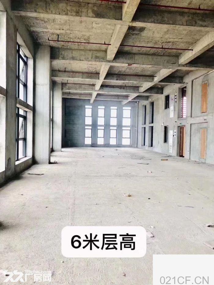 滨江杭州2900㎡ 滨江高科技厂房出租，首层6米层高