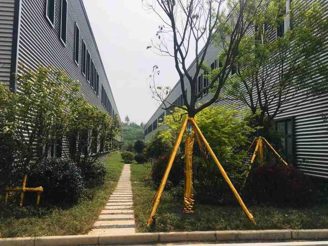 武汉常福欧派园区20000平厂房出租，配套完善