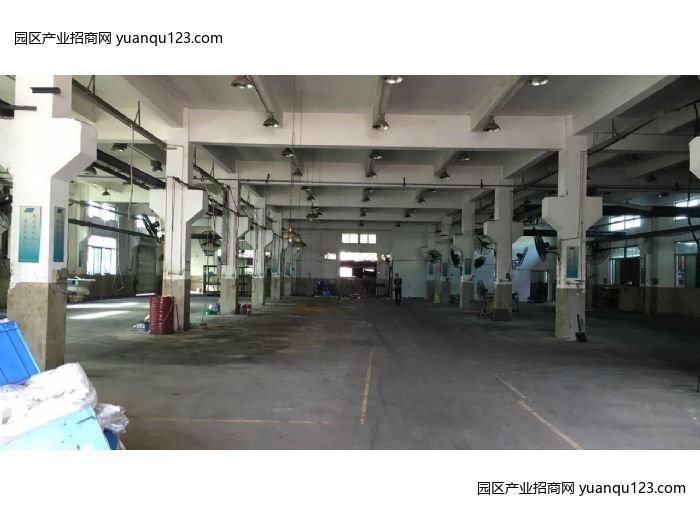 深圳龙岗 东莞镇凤岗两层独院厂房电商仓库出租10000平方-深圳厂房出租，首层5米层高
