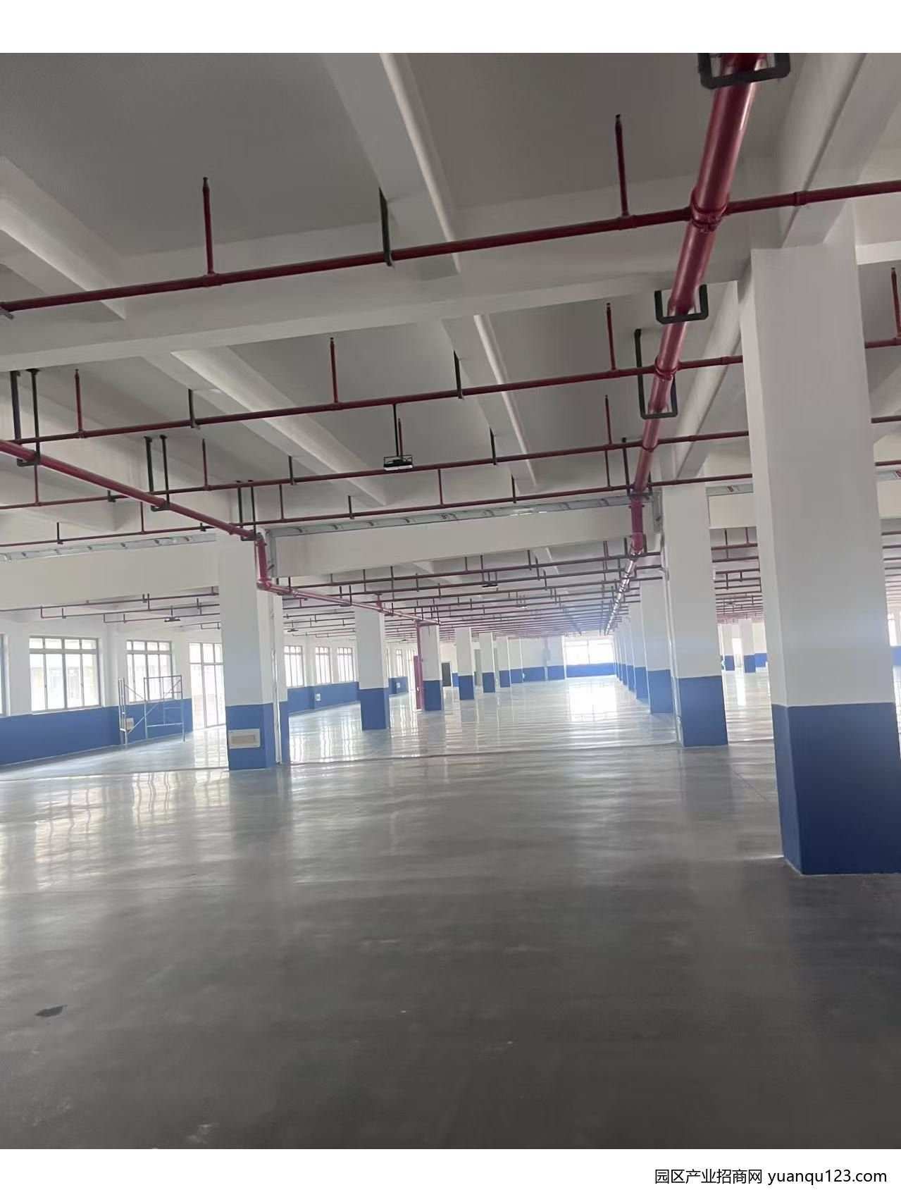 开发区嘉兴 嘉善惠民｜国家级开发区占地24亩独栋厂房7000万出售-厂房出售，首层10米层高