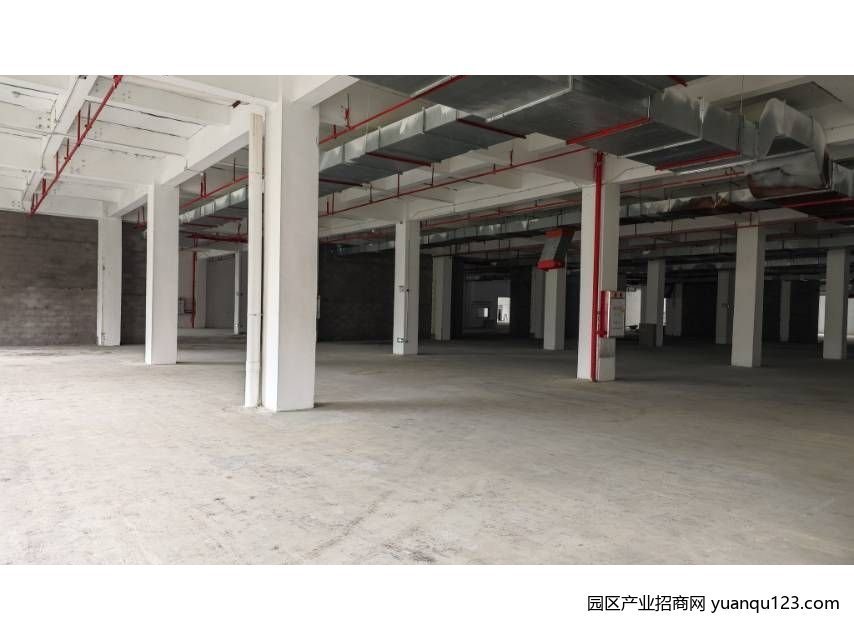 广州 黄埔区东区2楼7000平方大小分租10部货梯-广州黄埔黄埔厂房出租，首层5米层高