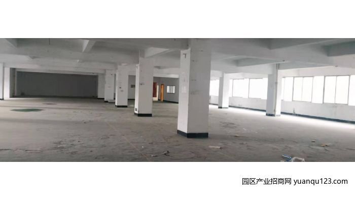 珠海香洲周边路 前山厂房可做写字楼、厂房、仓库-香洲上冲/前山厂房出租,首层4米层高