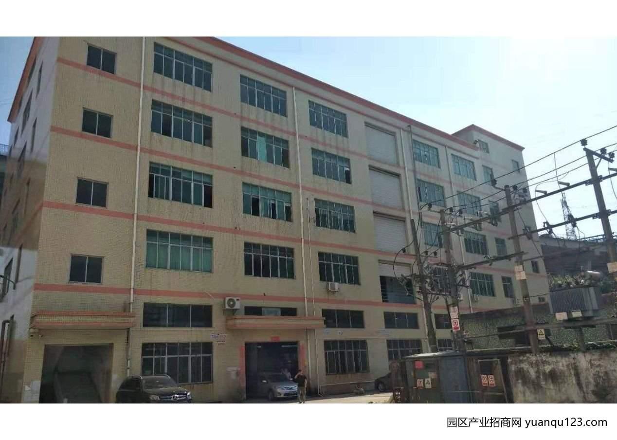 深圳宝安 西丽阳光工业区1800平精装修厂房出租，首层5米层高
