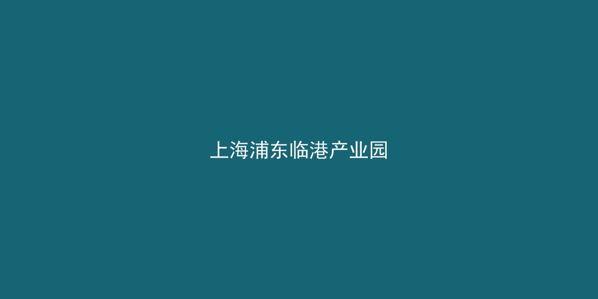上海浦东临港镇临港新片区标准厂房出租 集成电路人工智能产业开发区 政策优惠