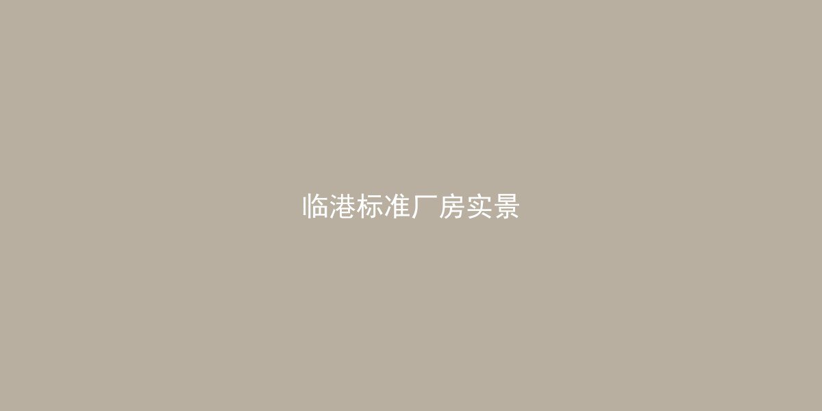 临港厂房实景