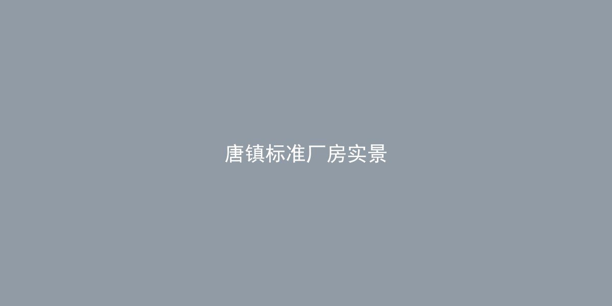 唐镇厂房实景