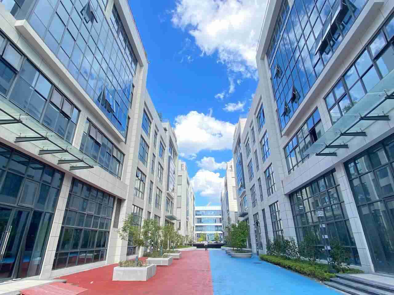 园区内街实景